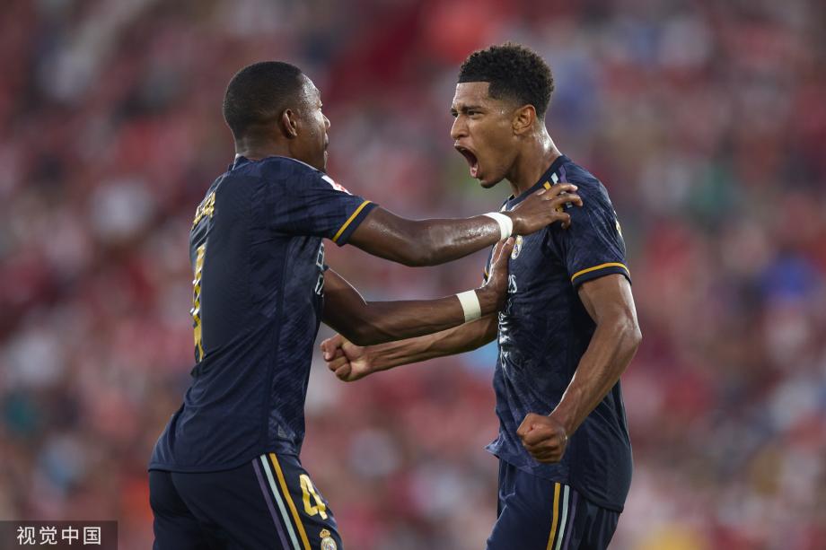 体育领域的 体育领域的