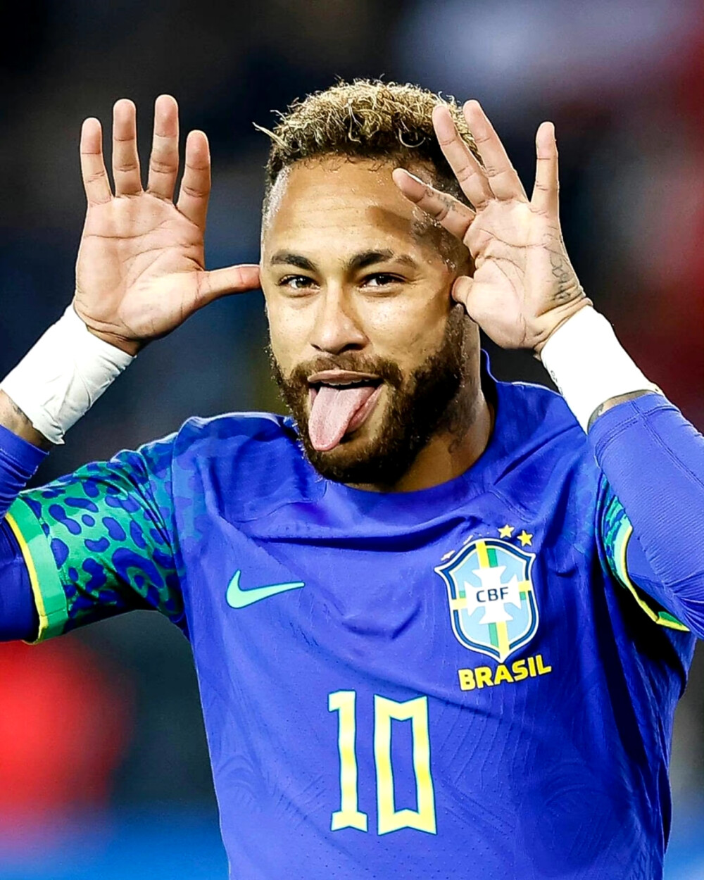 的巨大成本 的巨大成本