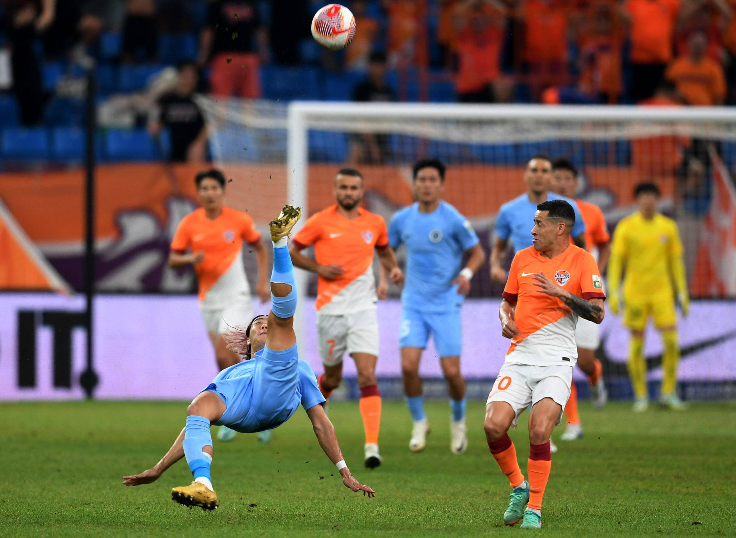 的综合肯定 的综合肯定